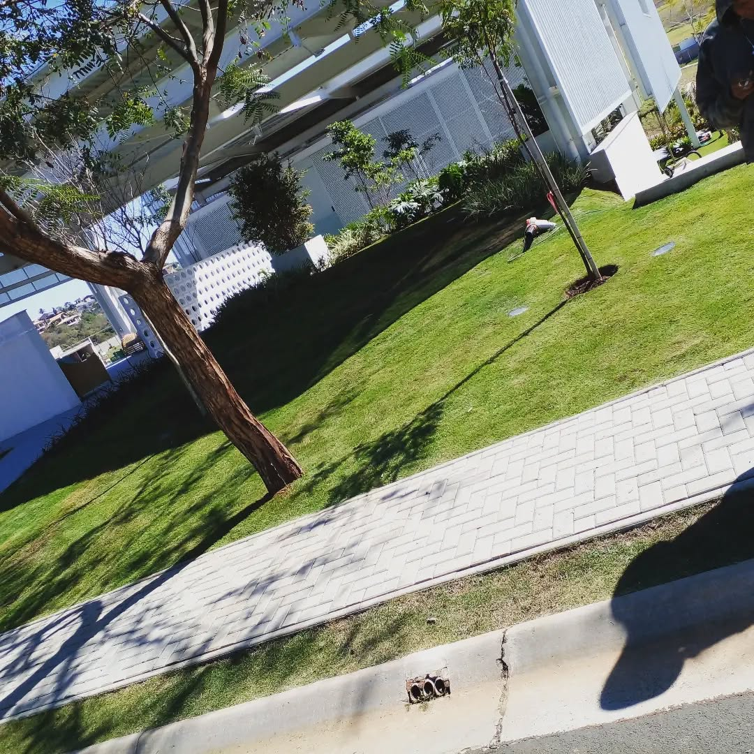 Trabalho realizado - Grama Perfeita